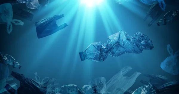 Prevention Of Single-Use Plastic In The Maritime Industry