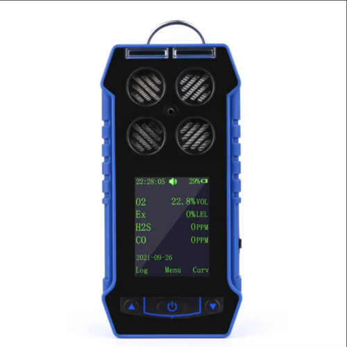 BH-4S Portable Multi Gas Detector